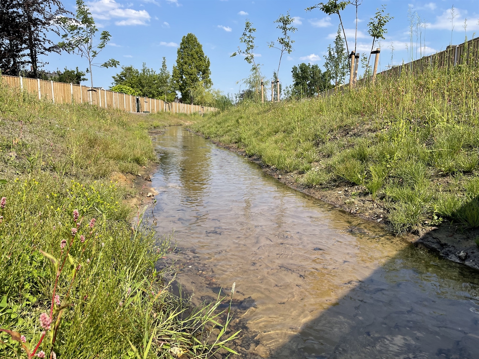 foto vernieuwde Elsbeek